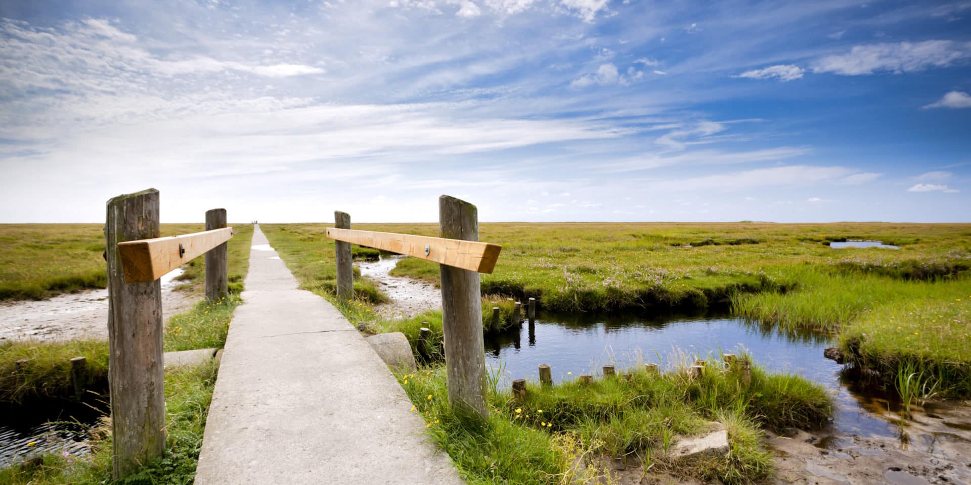 Weg durch Salzwiesen im Wattenmeer National Park Schleswig-Holstein - Foto Oliver Hoffmann